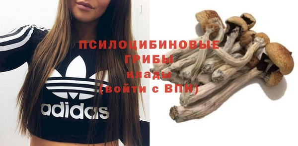 метадон Алзамай