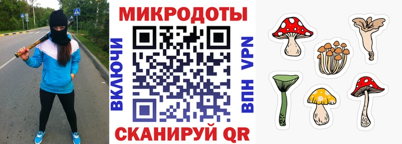 Галлюциногенные грибы MAGIC MUSHROOMS  как найти закладки  Ярославль 