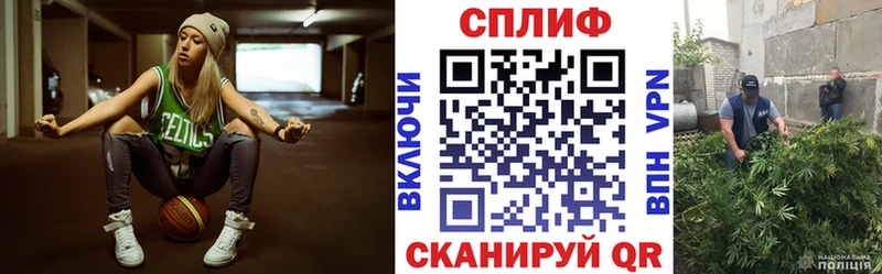 Каннабис план  как найти наркотики  Ярославль 